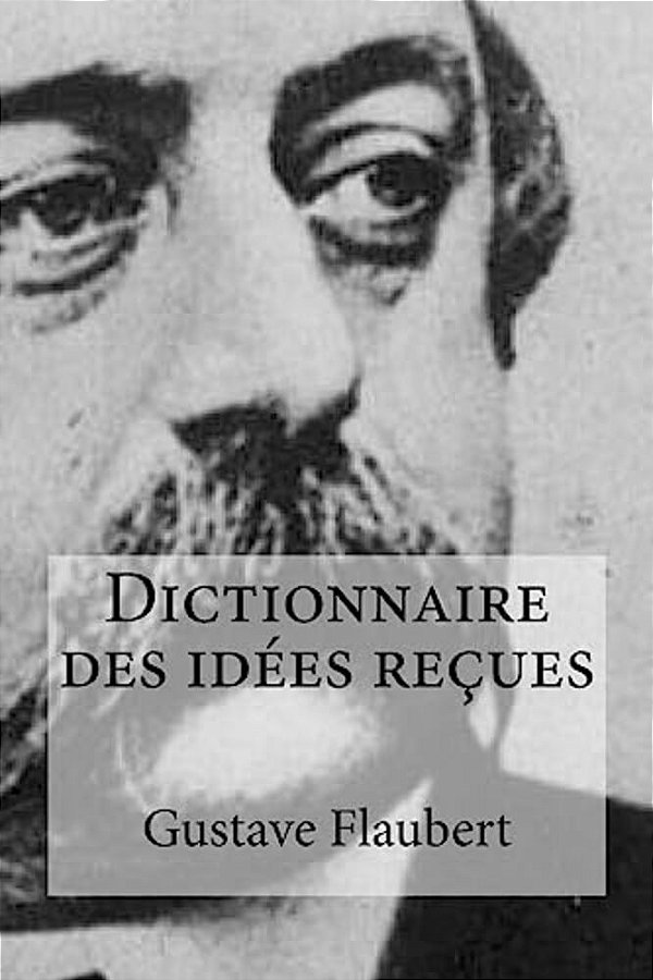 Dictionnaire Des Idées Reçues-..