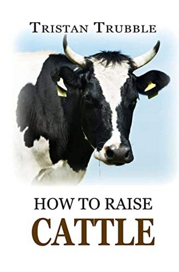 How To Raise Cattle-..