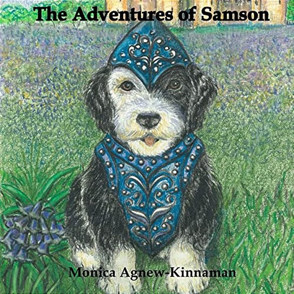 The Adventures Of Samson-..