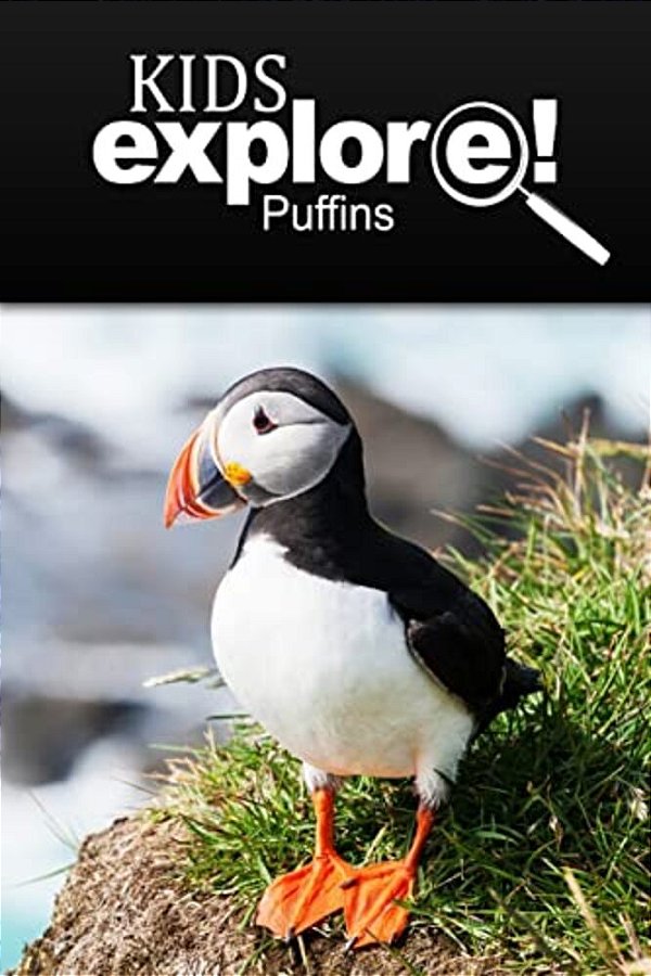 Puffins - Kids Explore: Animal Books Nonfiction - Books Ages 5-6-..