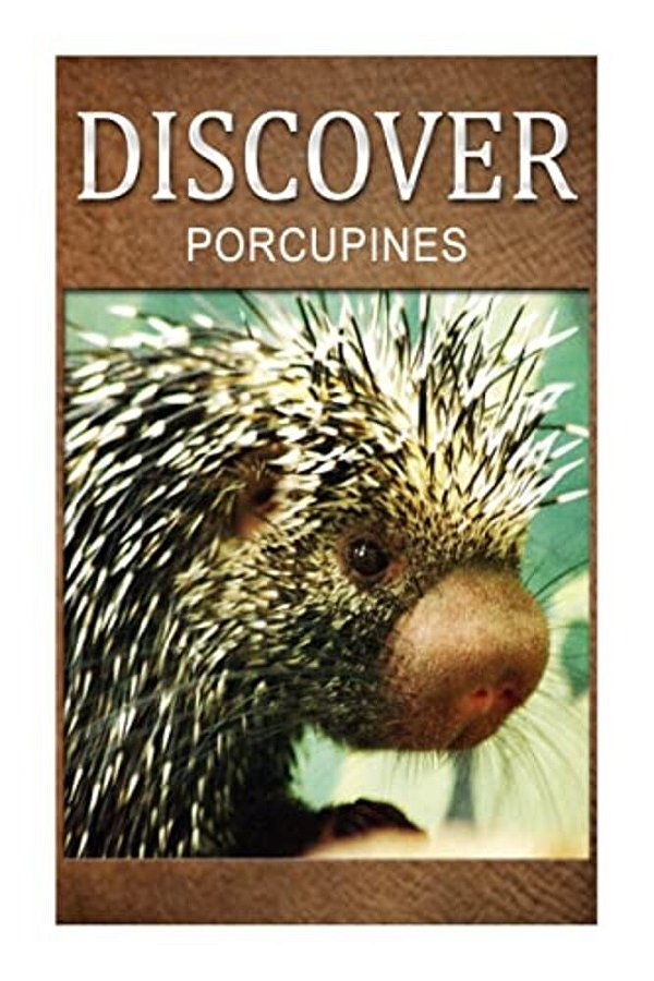 Porcupines - Discover: Early Reader's Wildlife Photography Book-..