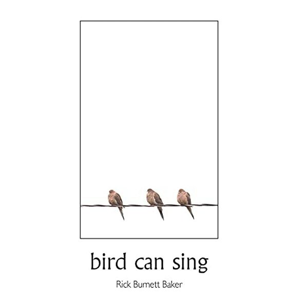 Bird Can Sing-..