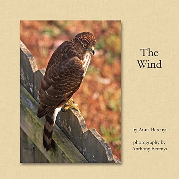 The Wind-..
