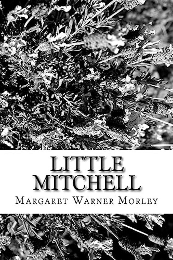Little Mitchell-..