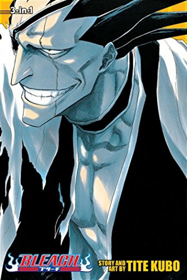 Bleach, Volumes 13-15-..