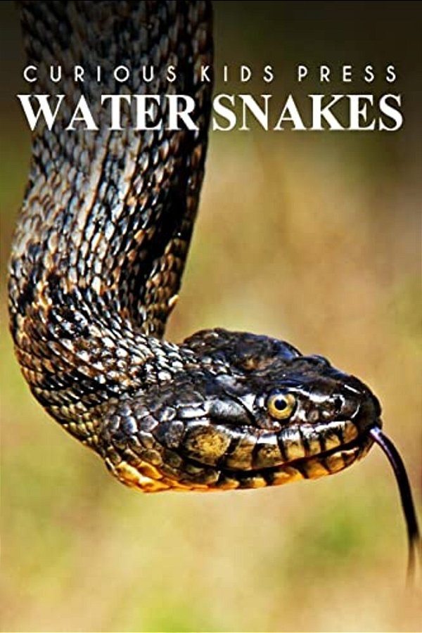 Water Snake - Curious Kids Press: Kids Book About Animals And Wildlife, Children's Books 4-6-..
