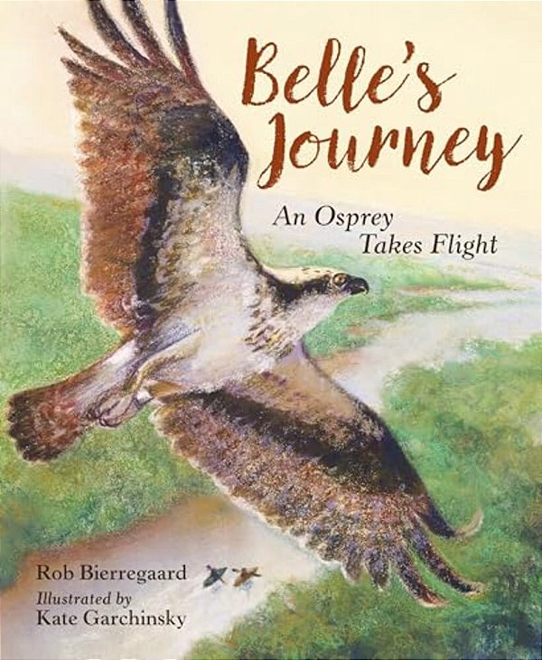 Belle's Journey: An Osprey Takes Flight-..