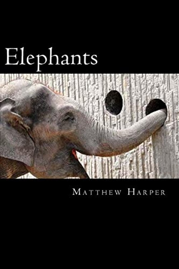 Elephants: A Fascinating Book Containing Elephant Facts, Trivia, Images & Memory Recall Quiz: Suitable For Adults & Children-..