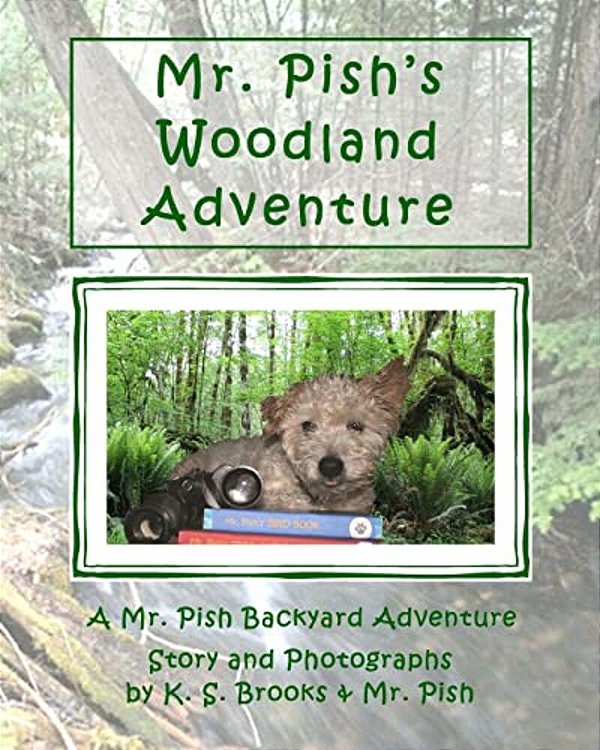 Mr. Pish's Woodland Adventure-..