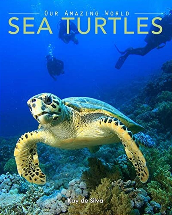 Sea Turtles: Amazing Pictures & Fun Facts On Animals In Nature-..