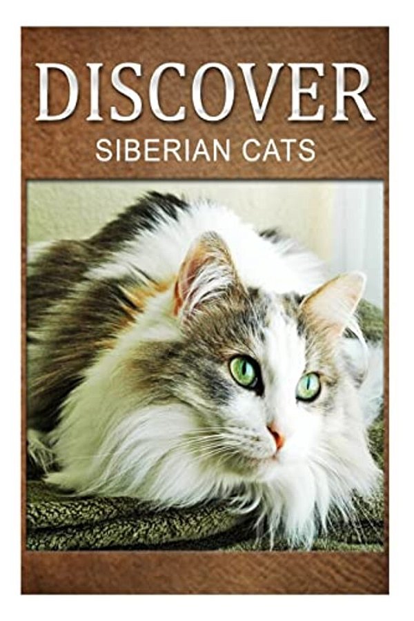 Siberian Cats - Discover: Early Reader's Wildlife Photography Book-..