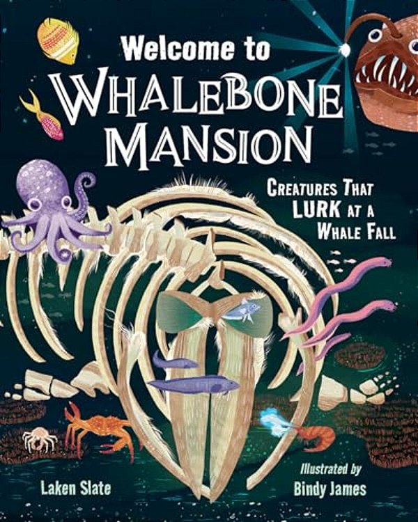 Welcome To Whalebone Mansion: Creatures That Lurk At A Whale Fall-..