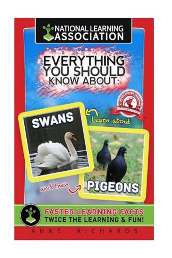 Everything You Should Know About: Swans And Pigeons-..