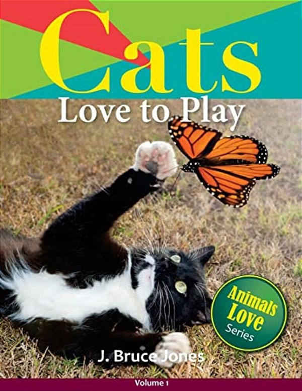 Cats Love To Play-..