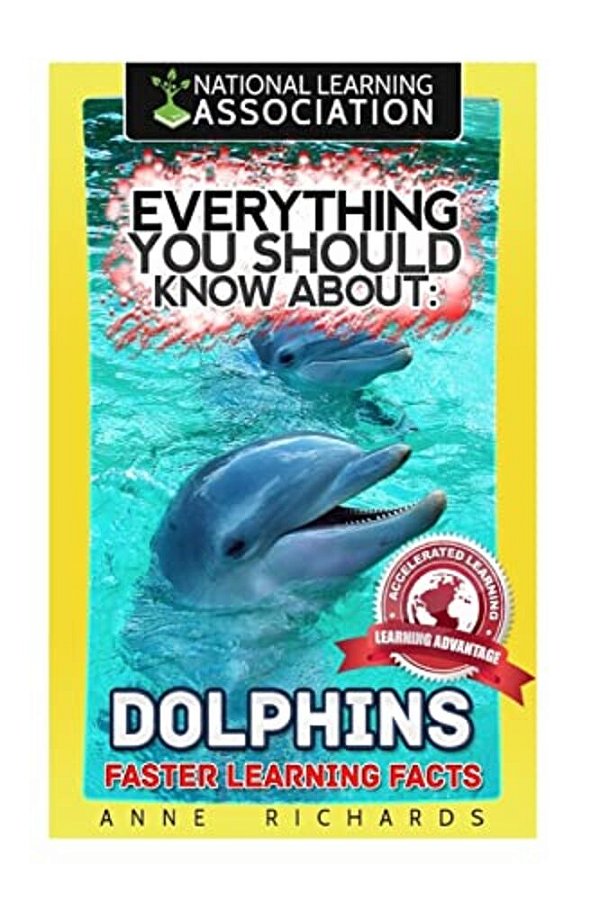 Everything You Should Know About: Dolphins-..