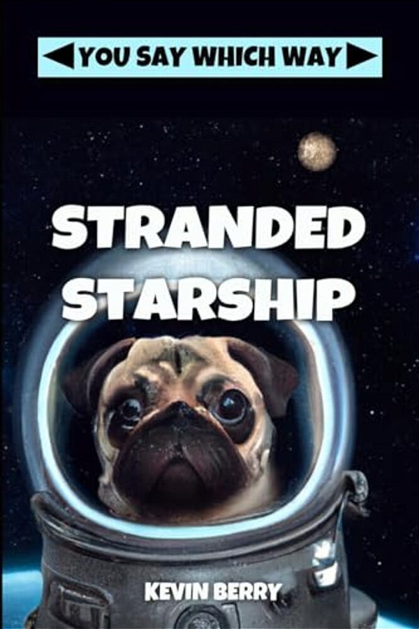 Stranded Starship-..