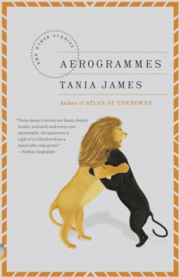 Aerogrammes: And Other Stories-..