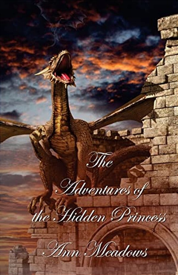 The Adventures Of The Hidden Princess-..