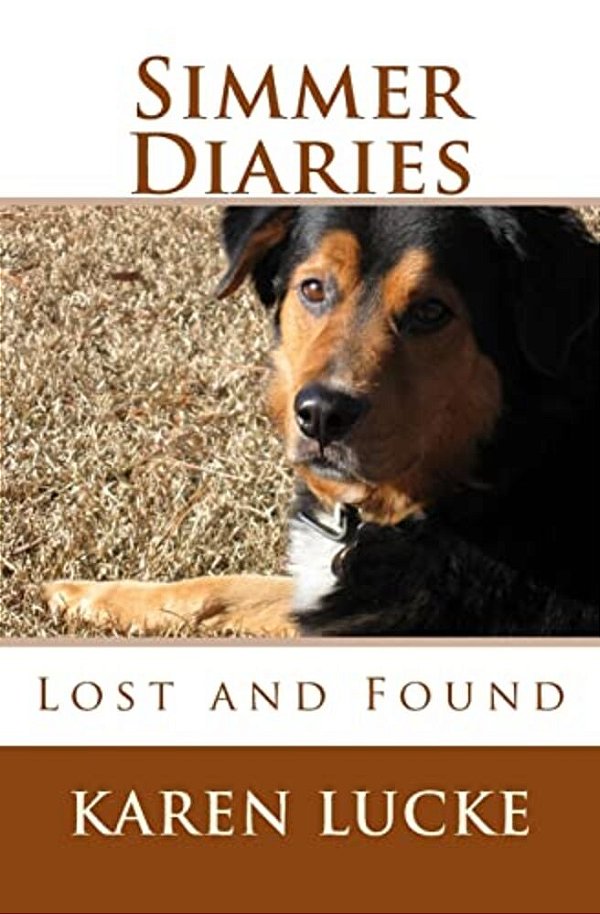 Simmer Diaries: Lost And Found-..