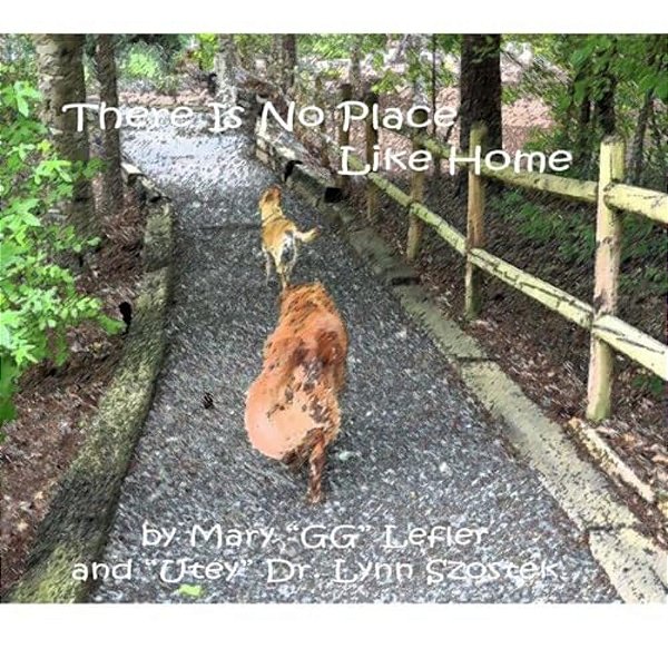 There Is No Place Like Home-..