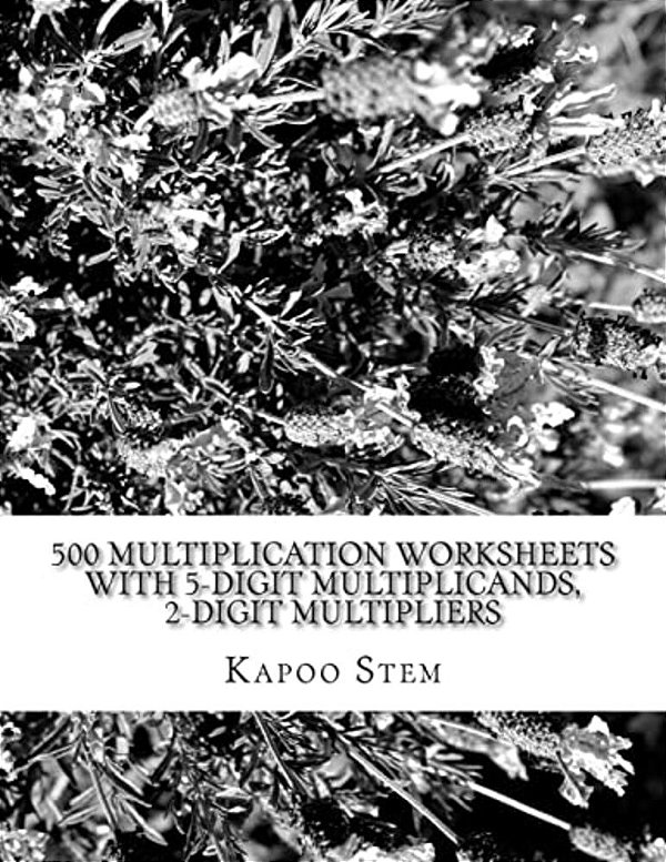 500 Multiplication Worksheets With 5-Digit Multiplicands, 2-Digit Multipliers: Math Practice Workbook-..