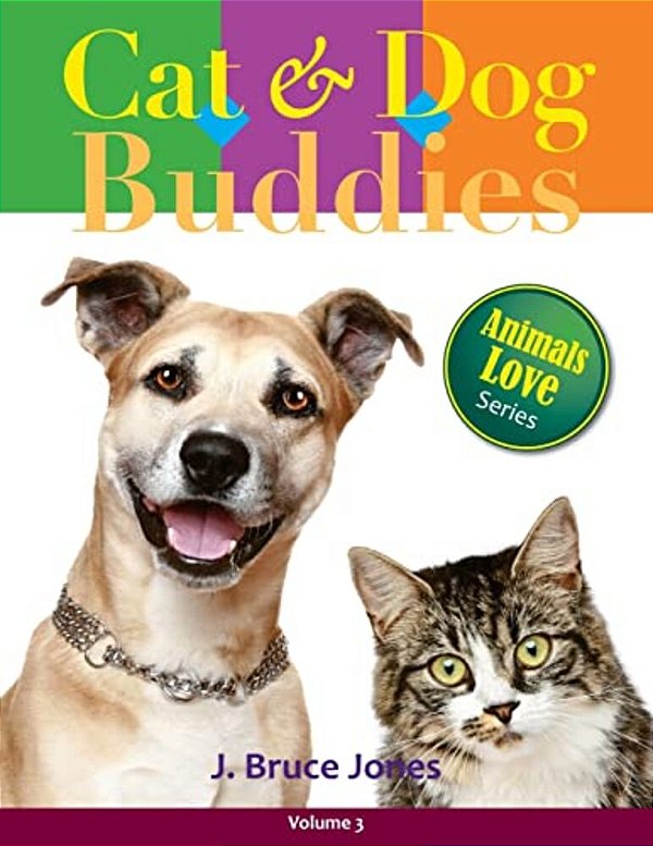 Cat And Dog Buddies-..