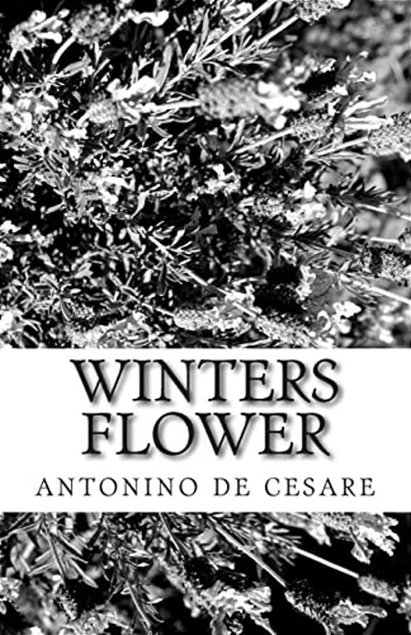 Winters Flower-..