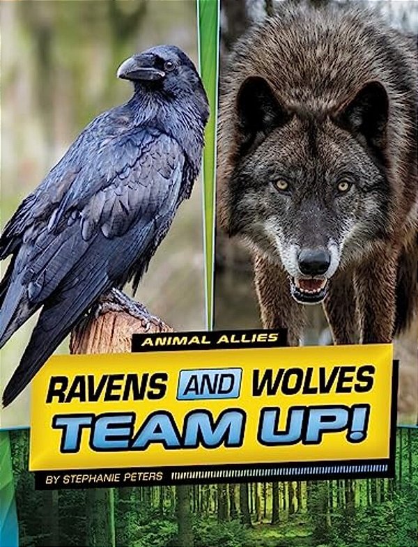 Ravens And Wolves Team Up!-..