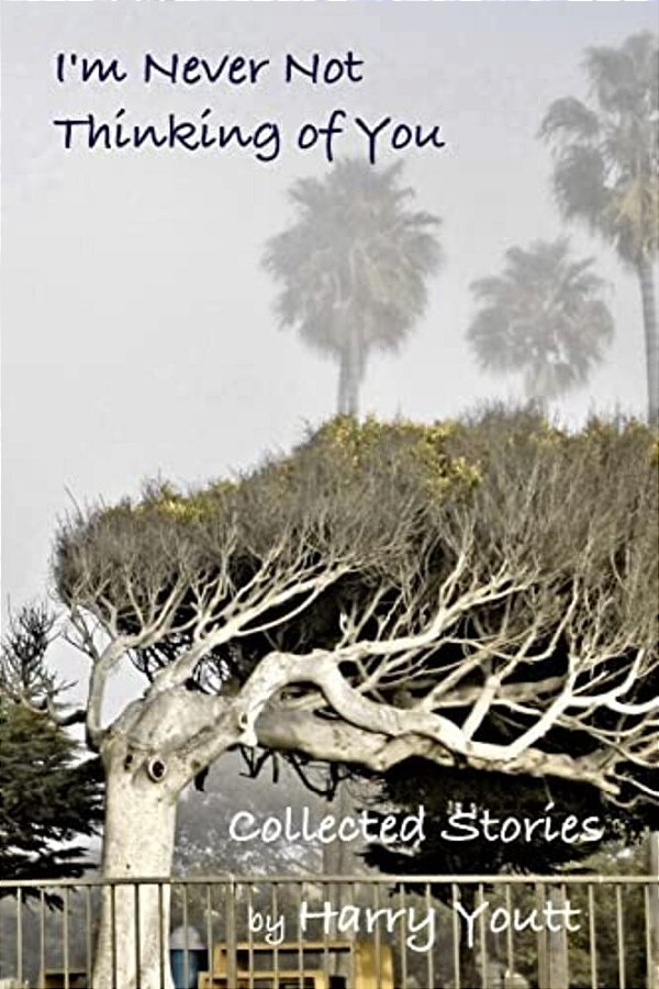 I'm Never Not Thinking Of You: Collected Stories-..