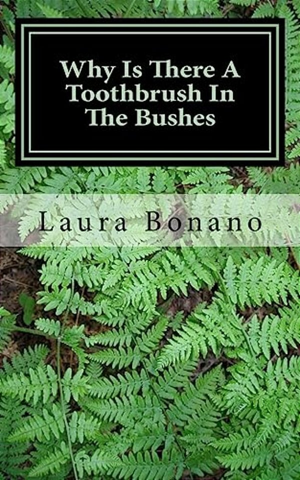 Why Is There A Toothbrush In The Bushes: And Other Little Life Mysteries-..