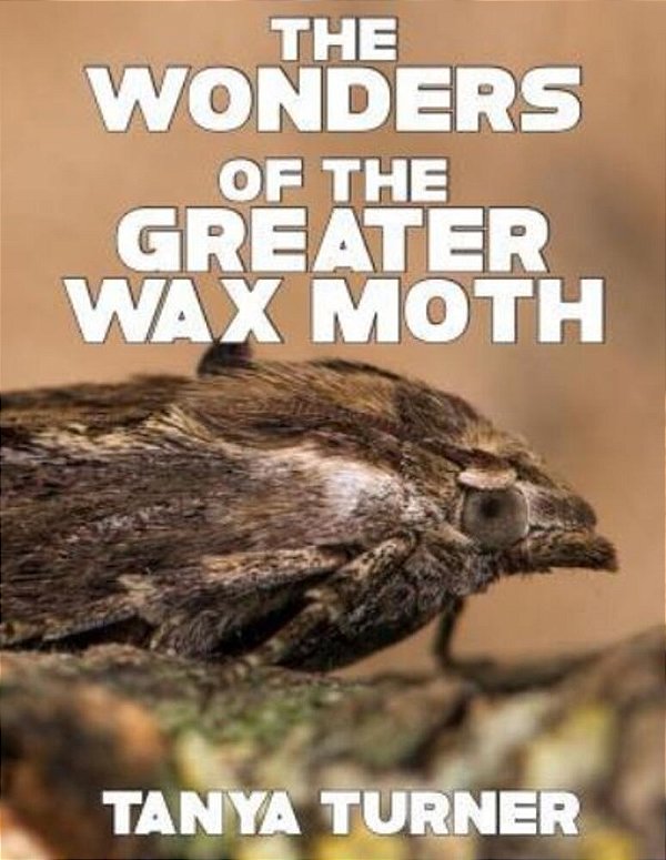 The Greater Wax Moth: Do Your Kids Know This? A Children's Picture Book-..