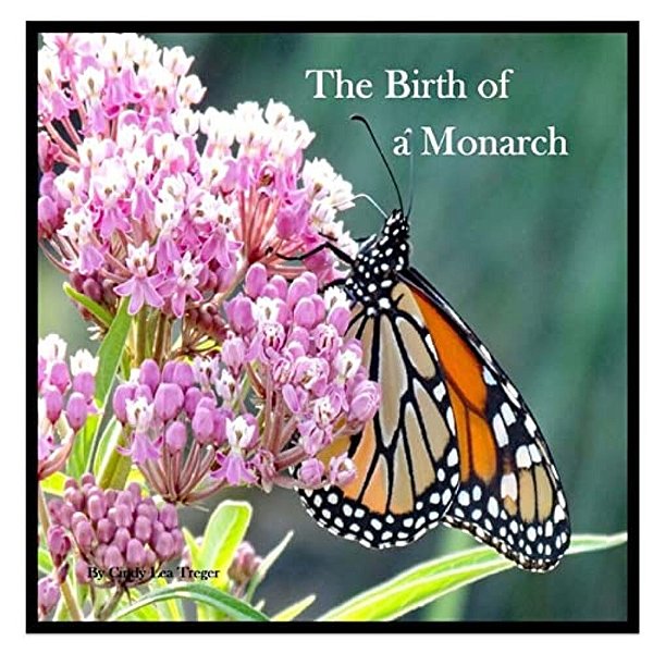 The Birth Of A Monarch: Metamorphosis Of A Monarch Butterfly-..