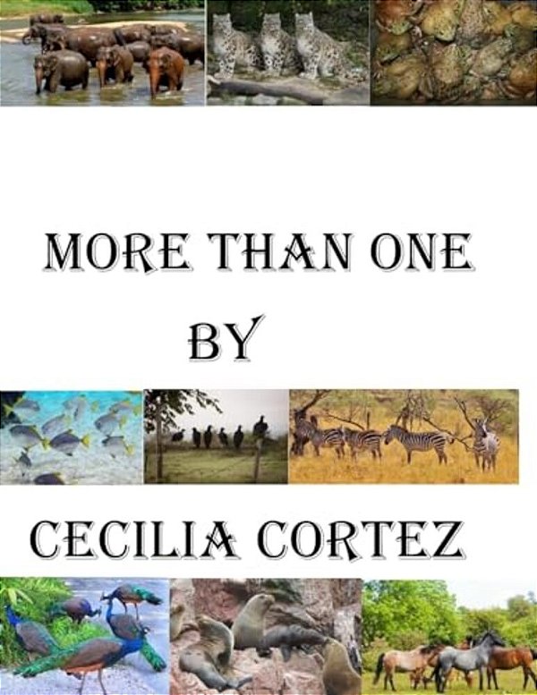 More Than One-..
