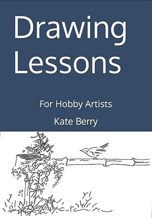 Drawing Lessons: For Hobby Artists-..
