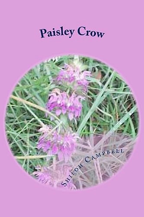 Paisley Crow-..
