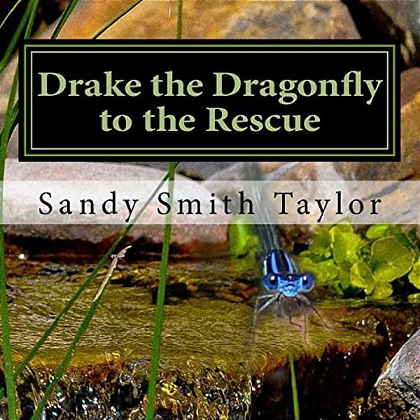 Drake The Dragonfly To The Rescue-..