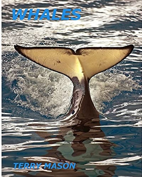 Whales: Whale Facts For Kids, Whales Gentle Giants Of The Sea-..