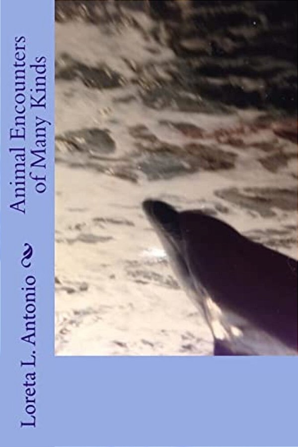 Animal Encounters Of Many Kinds-..