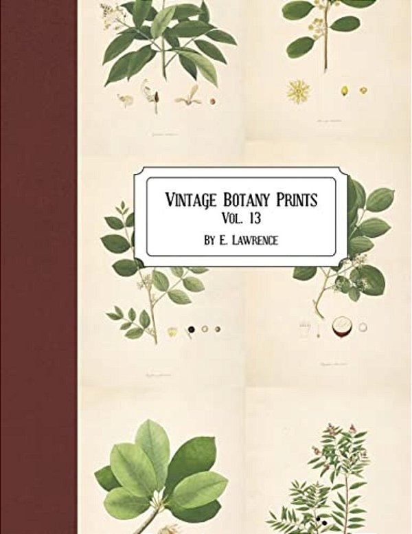 Vintage Botany Prints: Vol. 13-..