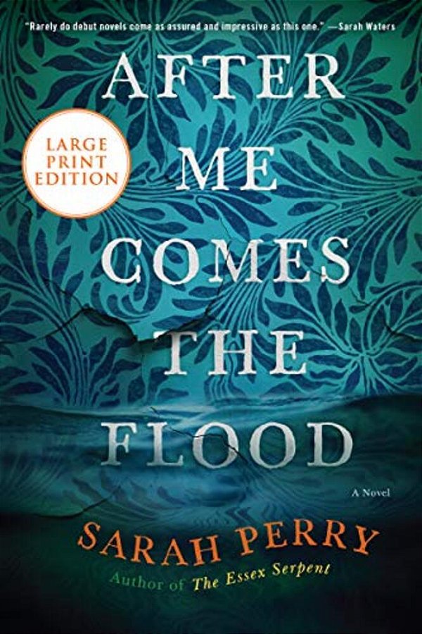 After Me Comes The Flood-..