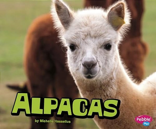Alpacas-..