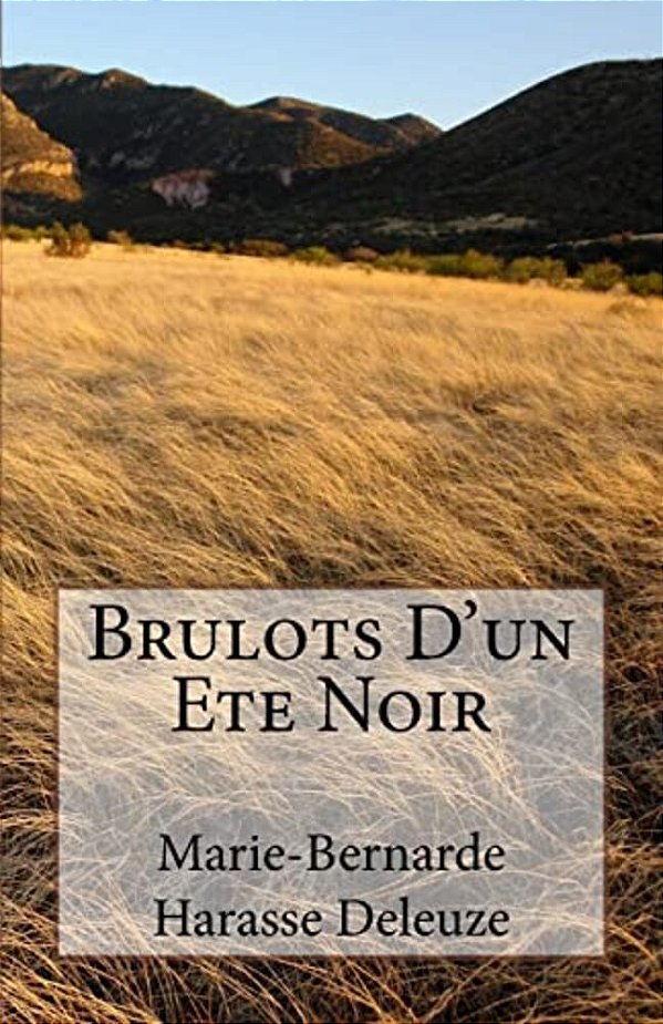 Brulots D'Un Ete Noir-..