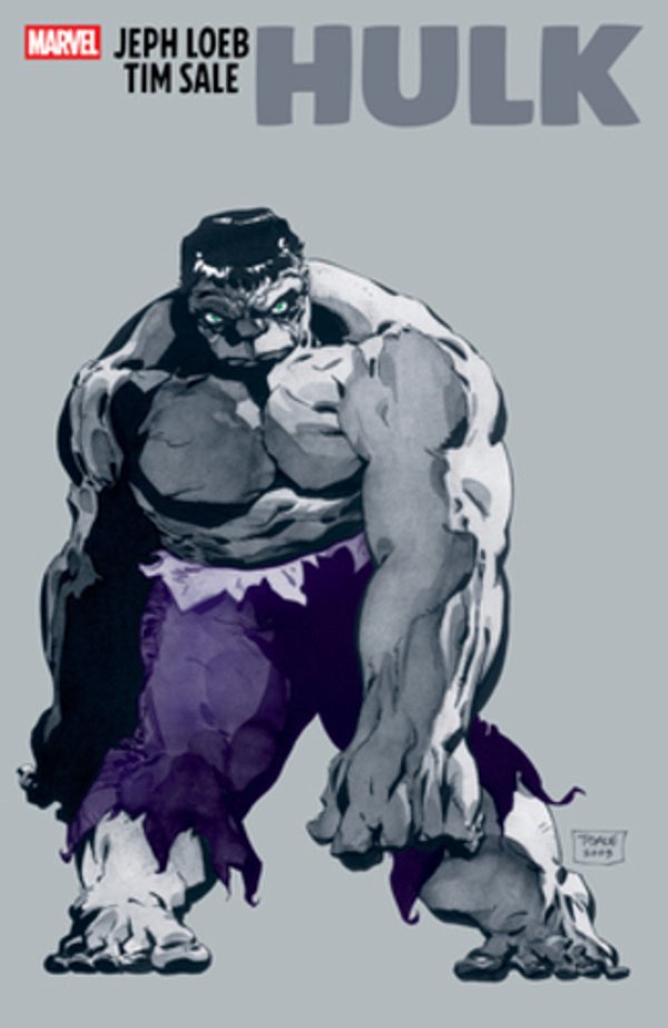 Jeph Loeb & Tim Sale: Hulk-..