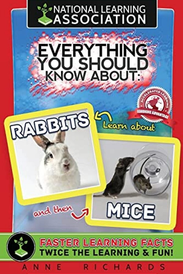 Everything You Should Know About: Rabbits And Mice-..