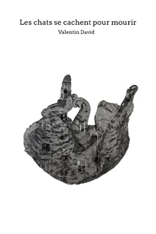 Les Chats Se Cachent Pour Mourir-..