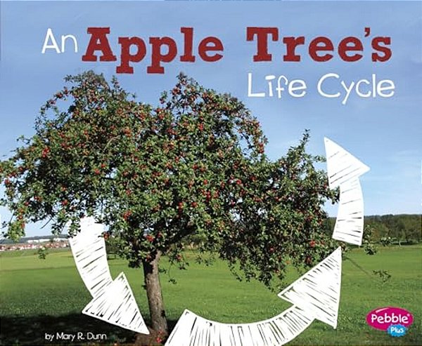 An Apple Tree's Life Cycle-..