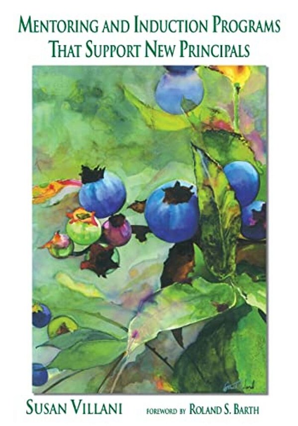 Mentoring And Induction Programs That Support New Principals-..