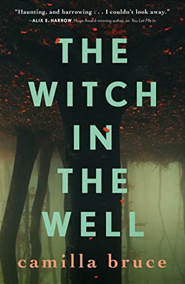 The Witch In The Well-..