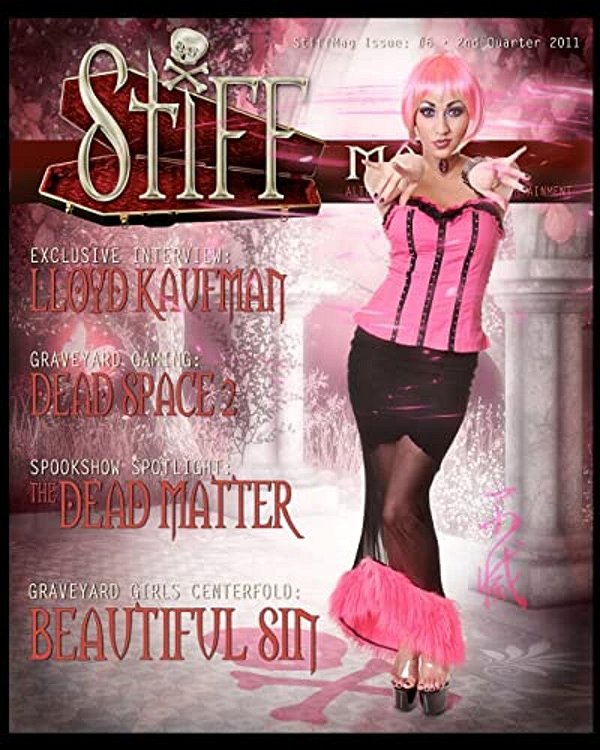 Stiffmag 6-..