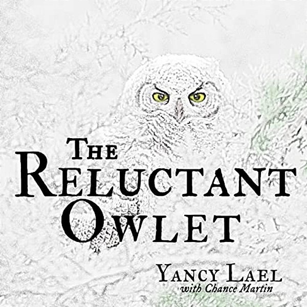 The Reluctant Owlet-..